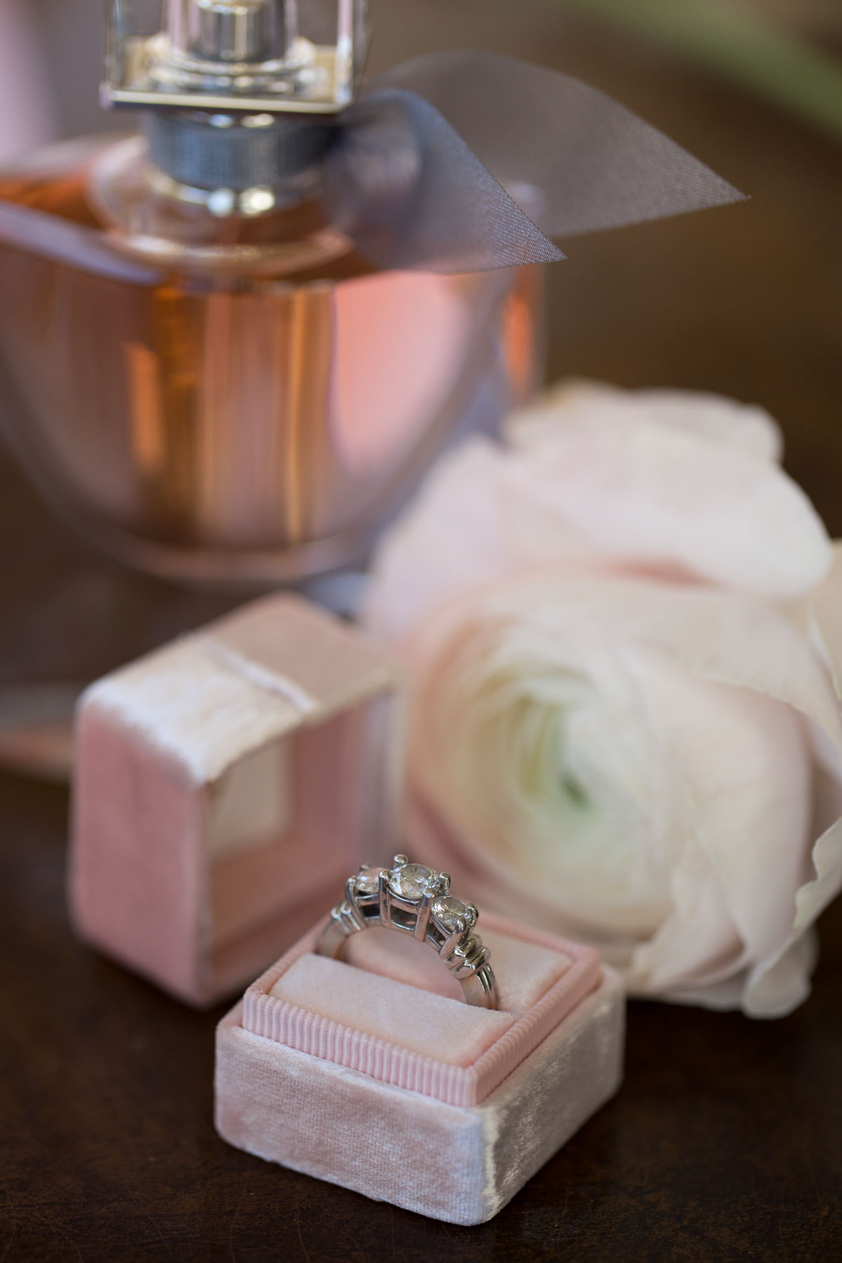 Fredericksburg Wedding Ring Detail Shot