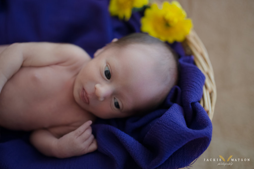 Newborn Baby Photography