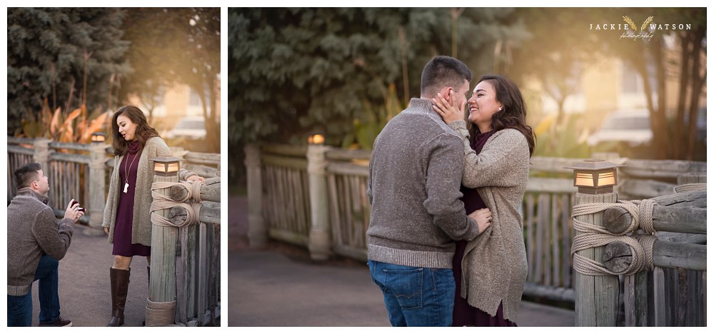 surprise proposal downtown norfolk